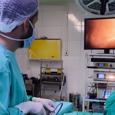 dr mohammad urology what we offer.png